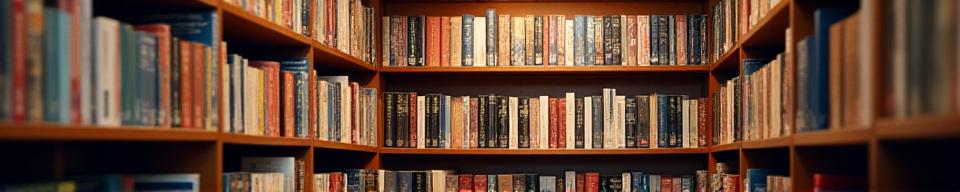 Shelves of books at Zephyr Tomes